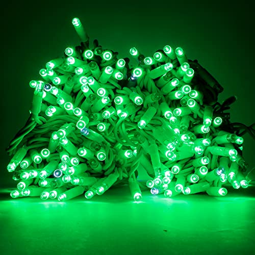 Luccika Stringa Catena di luci Natale a LED Professionale, MaxiLed da 8mm, Flash, per Giardini Negozi Bar, Esterno (Verde con Flash Bianco Ghiaccio, 30 Metri - 300 LED)
