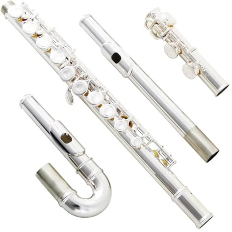 tvärflöjt instrument Flöjt stängt hål 16 tangenters flöjtinstrumentsats