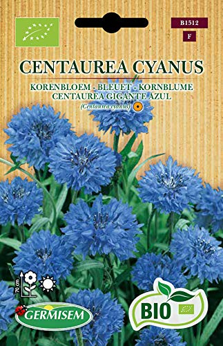 Germisem Kornblume CENTAUREA CYANUS, mehrfarbig, ECBIO1512