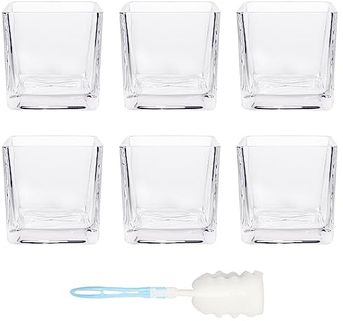 HWASHIN Set of 6 Square Glass Vases 4 x 4 Inch, Clear Cube Flower Vases with Sponge Brush, Candle Holders, Decorative Centerpieces for Home, Events or Weddings