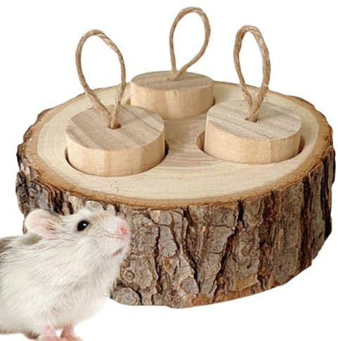 Hamster Snack Box – Träfoderleksak, husdjurspussel, aktivitetsmatare | Sniffning för små gnagare, träningsleksak för berikning av hamsterlandskapstillbehör