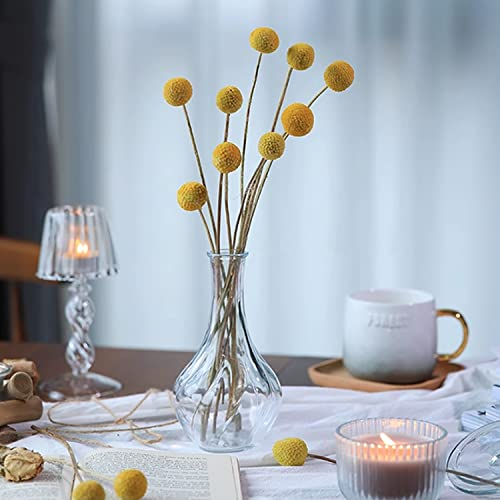 Jangostor 20 Piezas Billy Balls secas, 43cm Flores de Bolas de Billy Amarillas Flores Secas Craspedia Planta secas Naturales para la Boda de la decoración de Acción de Gracias