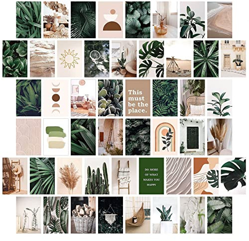 jiuzcare Art Postcards Set of 50, 4x6 Inch Assorted Aesthetic Designs, Laminated Blank Back Cards for Writing, Decorative Vintage Style Collection in Storage Box