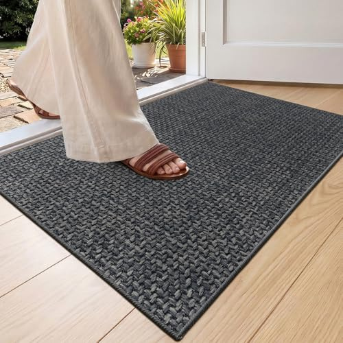 COLOR&GEOMETRY Paillasson Interieur Entree 60x90cm, Antidérapant Tapis Entrée Intérieur, Tapis de Porte Absorbant, Fin, Anti-salissures, Lavable,Tapis pour Intérieur,Chambre, Couloir(Gris Anthracite)