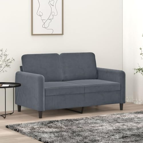 Massbinet 2-Sitzer-Sofa Modern Sofa Bequemes Wohnzimmer Big Sofas mit Kissen Modernes Couch fürs Büro Schlafzimmer Dunkelgrau 120 cm Samt