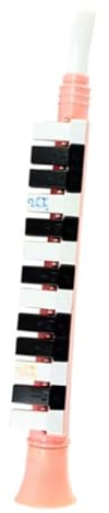 Gogogmee Melodica Touches pour Garçon Fille Instrument Éducatif Léger Résine pour Débutants Apprentissage Musical Garçon Fille Éveil Musical Couleur Aléatoire Couleur Aléatoire