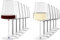 Stölzle Lausitz Power 12er Set - 6 x Weißweinkelch + 6 x Rotweinkelch - spülmaschinenfest, bleifreies Kristallglas, hochwertige Qualität, elegant