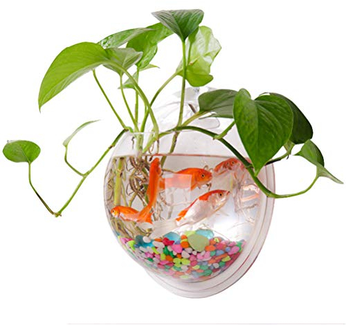 Wall Hanging Fish Bowl Acrylic Vase Flower Plant Wall Mounted Plant Pot Hanging Aquarium Decorative Container