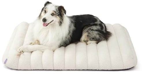 LE SURE Cute Orthopedic Dog Bed Large Sized Dog, Waterproof Chic Flat Pet Beds with Removable Washable Cover, Fuzzy Thick Egg Crate Foam Pet Mat for Indoor Use (36 x 27, Cream)