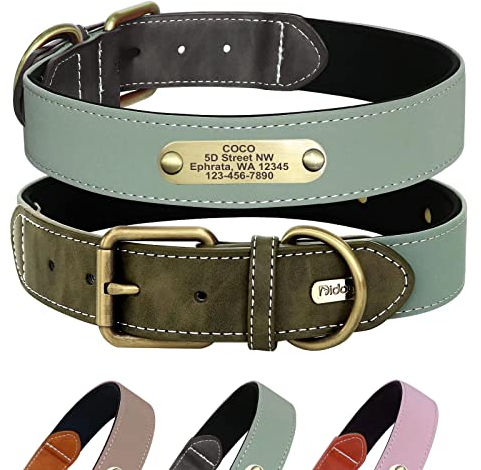 Didog Personalized Reflective Dog Collars with Engraved Bronze Nameplate - Soft Neoprene Padded Dog Collar with Heavy Duty D-Ring & Metal Buckle - Adjustable Collars for Small Medium Large Dogs,S