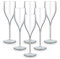 BRYNA - Set 6 Stück Gläser Flute 18 Cl aus Polycarbonat (Hartkunststoff), 100% italienisches Design, Unzerbrechliche Gläser, wiederverwendbare und spülmaschinenfeste Weingläser, Transparente