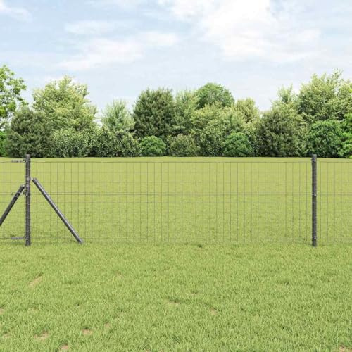 zylophax Eurorecinzione grigia 0,6 x 10 m in ferro rivestito in PVC, recinzione da giardino a doppia asta, recinzione per terrazza, giardino, delimitazione con kit di montaggio