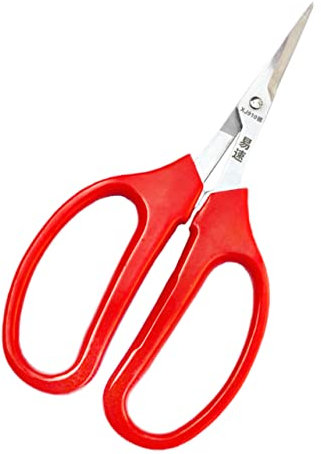 Toyvian Ciseaux De Fruits Et Légumes Cisaillement De Fleurs Fourche De Jardin Outils Floraux Outil De Fleurs Outils De Composition Outil De Composition Acier Inoxydable