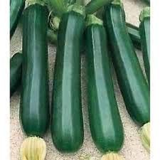 ZUCCHINO NANO VERDE DI MILANO NR.30 SEMI