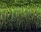 Hochwertige Kunstrasen Rasenteppich Jack für Garten - 200x300 cm - Florhöhe 38 mm - UV-Garantie 7 Jahre (DIN 53387) - Gewicht ca. 1987 gr/m²