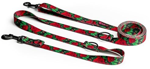 Helltails Laisse pour Moyenne et Grand Chien avec 2 mousquetons | NO Absorb | Réglable 1.6m - 3m | Largeur 2.5cm | Promenade avec Deux Chiens en même Temps | Solide | Dog Leash | Eternal Rose - L