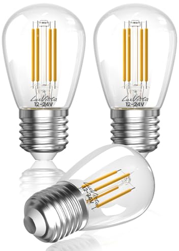 Luxvista Lampadina LED 12V 4W E27 Edison Bianco Caldo 3000K Filamento Vintage S14 per Interni RV Tensione CC 12V-24V Per Paesaggio, Camper, Yacht, Roulotte, Barca, Rimorchio, Non Dimmerabile (3 pcs)