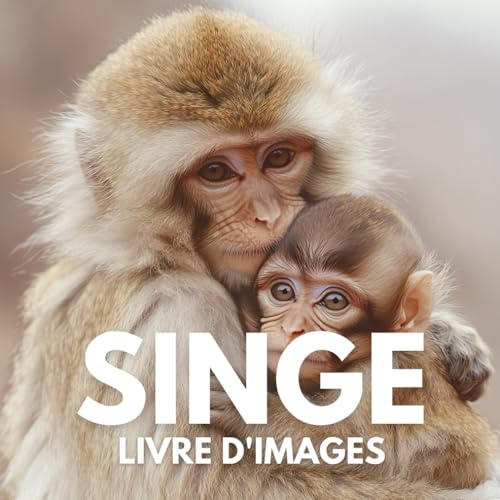 Livre d'images sur les singes: 100 superbes photos pour découvrir la beauté et la diversité des singes.