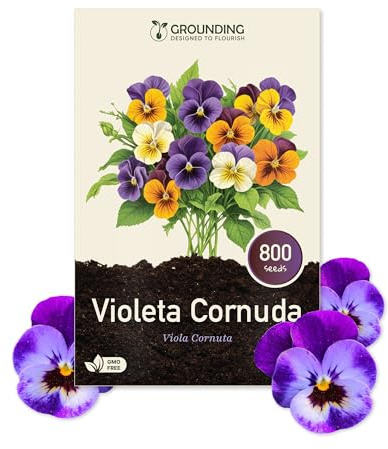 Grounding - Semi di Viola cornuta - mix colori viola, blu, giallo e bianco, 800+ semi, altezza 15–20 cm. Ideale per aiuole, bordure e balconi - Semina facile – Qualità Europea