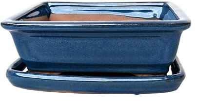Glazed Ceramic Bonsai Pots with Matching Drip Trays (Metallic Blue, 16cm)