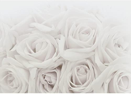 Runa Art Fototapeten 396 x 280 cm Blumen Rosen - Vlies Wanddekoration Wohnzimmer Schlafzimmer - Deutsche Manufaktur - Grau 9258012c