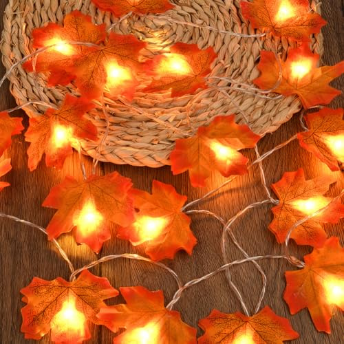 AUAUY Foglie di Acero Luci Decorazioni Autunnali, 6M 40 LED Stringa Luminosa con Foglie, Addobbi Autunnali Lucine a Batteria, per Halloween Natale Ringraziamento Decorazioni Autunno