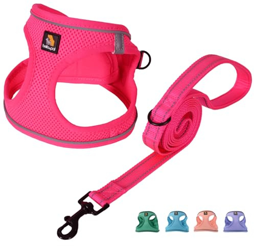 BELLA & PAL Pettorina Cane Taglia Piccola, Pettorine per Cuccioli con Guinzaglio, Step In Riflettente in Air Mesh Morbida e Traspirante, Imbracatura per Cani Poccoli, Fucsia, M