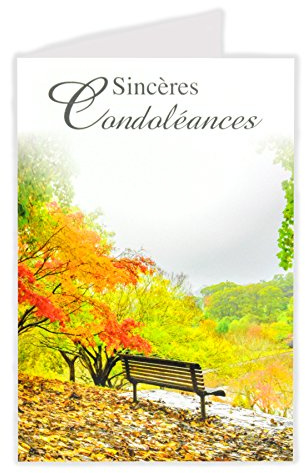 AFIE 64-1031-B Carte Sincères Condoléances - Bon courage Deuil Nature Automne Arbre