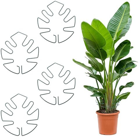 Tyqour Lot de 4 supports de tige de plantes durables en mousse de fer pour plantes grimpantes Pothos, supports de coupe de plantes au design unique pour une croissance optimale, piquets pour plantes