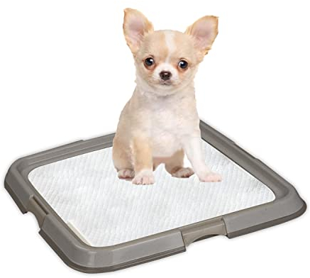 PAWISE Hundetoilette für den Innenbereich, Welpen-Trainingspads, Hundetöpfchen-Tablett, tragbares Untersetzer für Haustiere, Hundeklo für Katzen, 49 x 36 cm