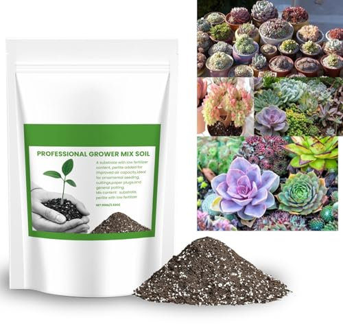 Mélange de terreau pour cactus succulents, technologie de croissance des plantes, terreau contenant de la perlite, du sable et du gravier, mélange de rempotage de jardin pour une utilisation en