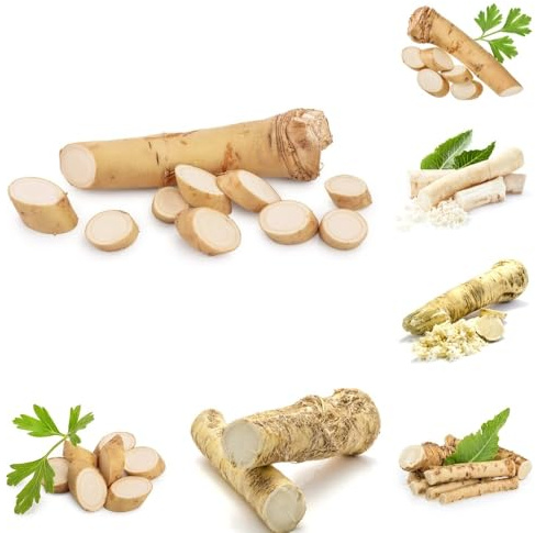 Semi di rafano, verdi da giardino roccioso resistenti balcone con aiuola di vecchie varietà resistenti per il giardino 150pcs