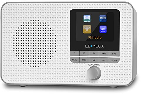 LEMEGA IR1 Tragbares WiFi Internetradio,Dab/Dab+/FM Digitalradio,Bluetooth,Doppelwecker,Schlaf-Snooze-Timer,60 Voreinstellungen,Kopfhörerausgang,Farbdisplay,Batterie- Oder Netzbetrieb, Gris