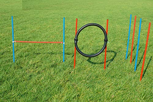 Wuzzmann Agility-Beginner-Set ROT/BLAU