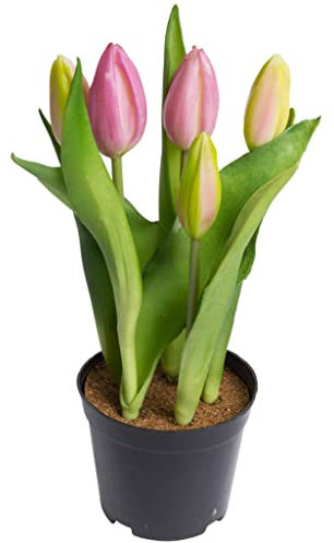 Nova-Nature künstliches Tulpenarrangement mit 5 Blütenknospen im schwarzen Kunststofftopf real Touch (Mauve), 12 x 23 cm