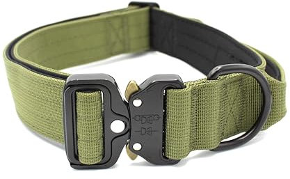 Paulde Hundehalsband mit Griff und Metall-Schnalle, Verstellbar, Hochwertig und Strapazierfähig, Ideal für Training und Alltag (Olivgrün, XL: 45-65 cm, Breite 3,8 cm)