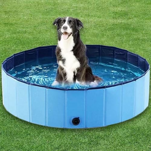 Hopfällbar hundpool, Oxford Cloth Pet Pool & Ta en dusch 2-i-1, Antisladd med vattenutlopp, Portabel för små medelstora husdjur, Inomhus utomhusbruk Blue 100×30cm