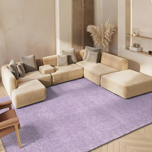 Safavieh Tapis Shag pour Salon, Salle à Manger, Chambre à Coucher - August Shag Collection, Tapis à Poil Court, Lilas, 244 x 305 cm