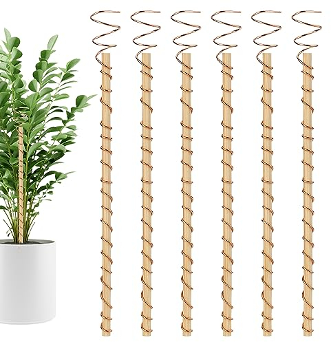 6 Uds Estacas para Plantas de Electrocultivo, Antena de Cobre para Jardinería Antena de Alambre de Cobre Electrocultivo Antena de Bobina de Cobre para Jardinería para Patio Jardín Plantas