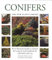 Conifers (The new plant library)