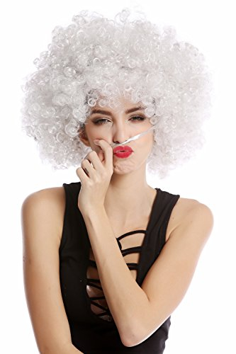 WIG ME UP - PW0011-P309 Perücke Afroperücke Afro 70er Jahre Party Partyperücke Funk Funky Disco Foxy Grau Hellgrau