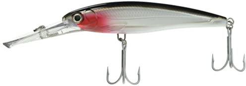 Rapala X-Rap Magnum Señuelos de Pesca Xr40Mag-S, 6 Silver