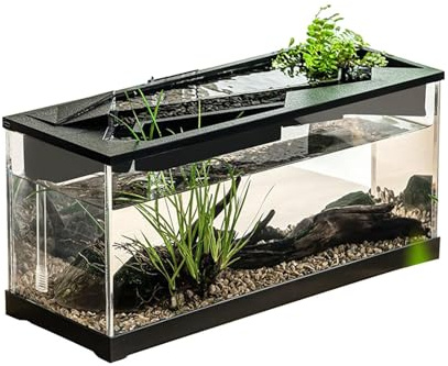 Acquario trasparente per la scrivania, per l'allevamento del faunario, bacino per pesci, serbatoio decorativo per pesci, con filtro, set di base per acquario