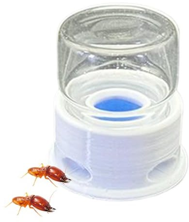 Distributeur De Liquide Pour Les Fourmis Système anti-noyade transparent et