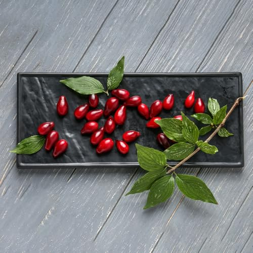 semillas del cerezo cornalina, arbustos de hoja perenne semillas de invierno para exterior setos arbustos jardín columnar 200pcs