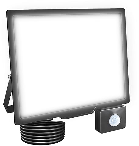 RIGIDON LED Strahler mit Bewegungsmelder 100W 10000LM LED Scheinwerfer Außenstrahler 6000K Kaltweiß IP66 Wasserdicht Fluter Außenleuchte Aussenlampe für Garten Garage Innenhöfe Sportplatz Hof