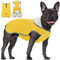 Hundemantel Winter Wasserdicht mit Bauchschutz Reflektierend Warm Wasserdicht Hundejacke Winddicht Welpen Hundekleidung Outfit Weste für Mittlere Große Hunde Yellow XL