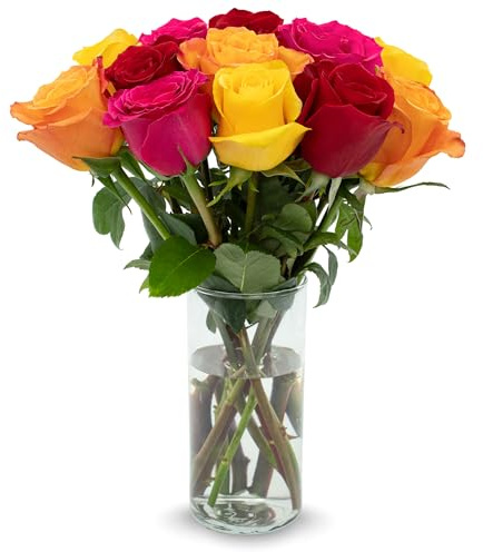 Stargazer Barn – 12 Stem Premium Rainbow Roses Bouquet – Mother’s Day Flowers for Mom – Fresh Flower Delivery, Farm Fresh, Hand-Tied in USA, Ready to Gift – No Vase Included