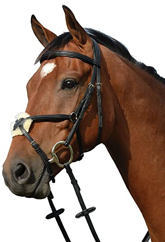 Collegiate Syntovia+ Padded Raised Figure 8 Bridle, Black, Cob