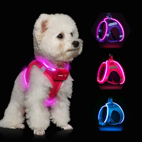 Feycig Light Up Dog Harness - Rechargeable LED Dog Vest Harness for Puppy Small Medium Dogs, Adjustable & Reflective Flashing Glow Safety Vest Waterproof for Night Walking & Camping (Pink, X-Small)